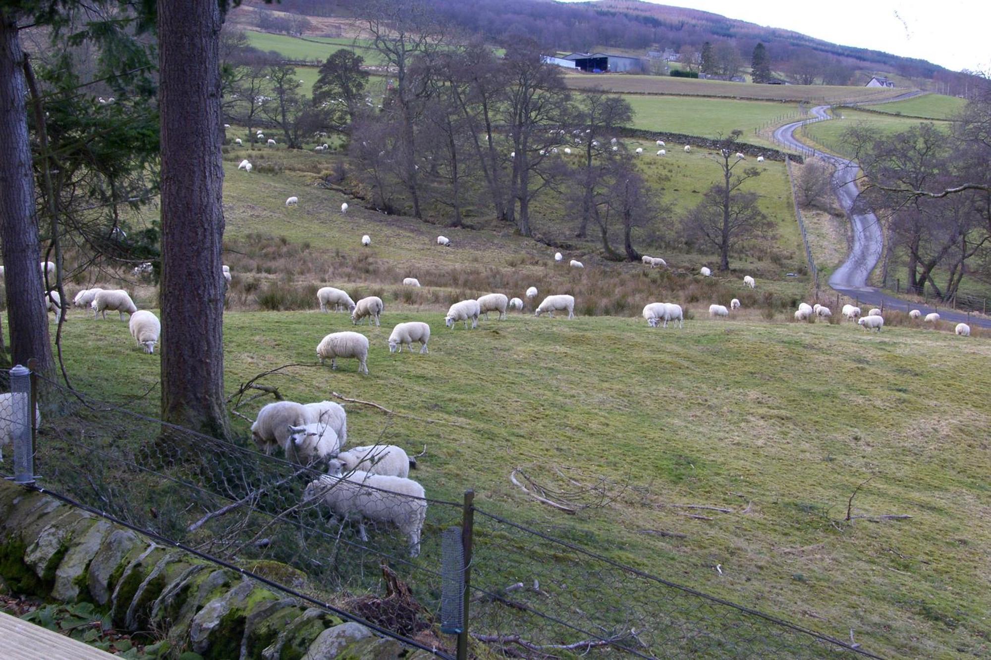 Brae House Bed & Breakfast Aberfeldy Exterior photo